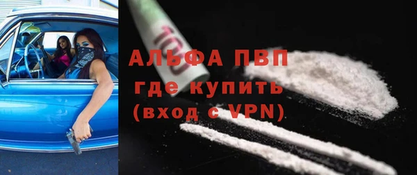 прущие грибы Балабаново
