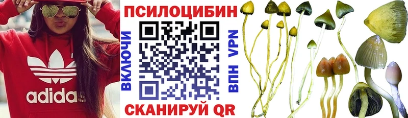 закладка  Солигалич  Галлюциногенные грибы Psilocybe 